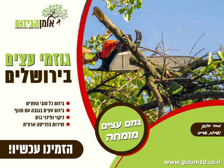 גוזמי עצים בירושלים