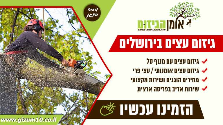 גיזום עצים בירושלים