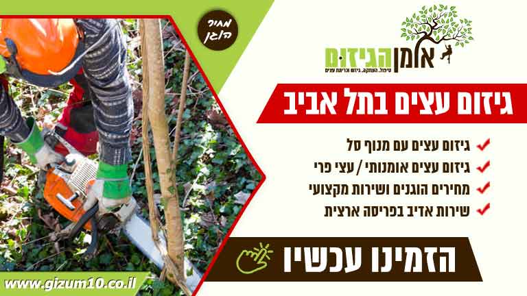 גיזום עצים בתל אביב