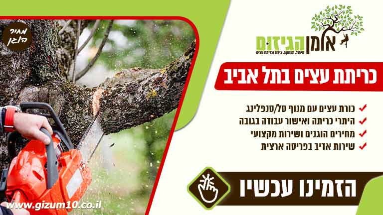 כריתת עצים בתל אביב