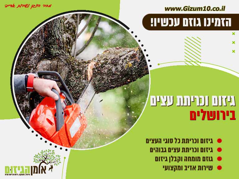 גיזום וכריתת עצים בירושלים